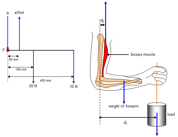 schoolphysics ::Welcome::